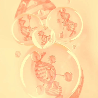 Sérum à l'acide hyaluronique en capsules, anti-âge, hydratation.